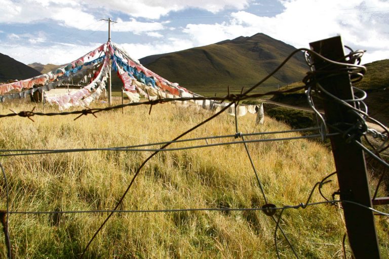 Combattre cette notion appelée développement