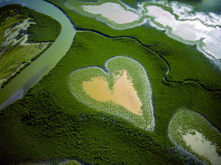 L’Éco-photographie&nbsp;: un sujet en&nbsp;vogue&nbsp;?