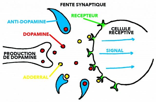 schema adderral