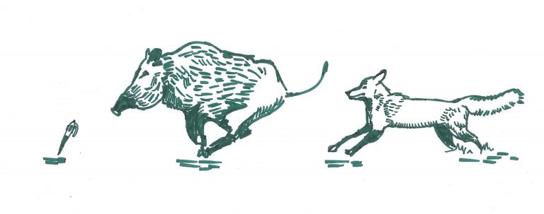 Quentin Dupieux, le retour