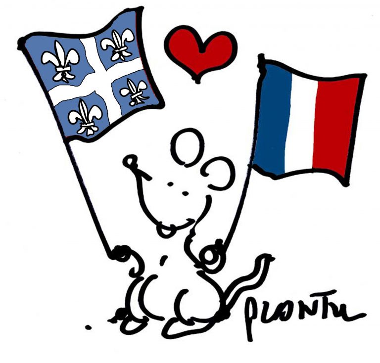 Quels sont les termes du « traitement spécifique » pour les étudiants français ?