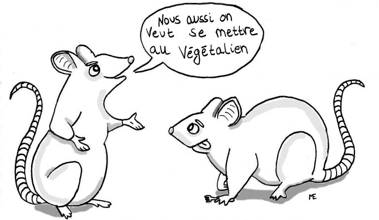 Un petit rat avec ça ?