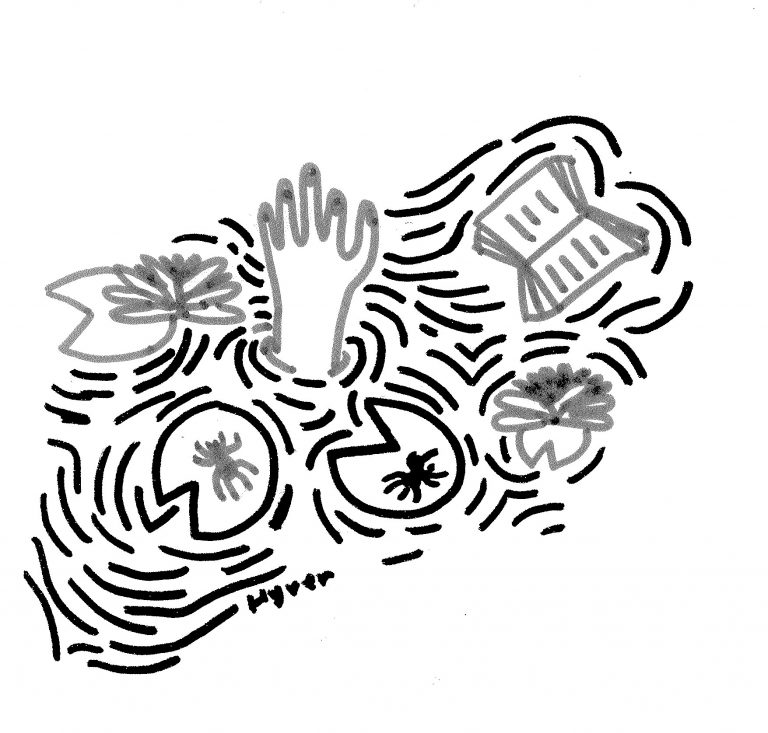 Auteure cherche lecteur compréhensif