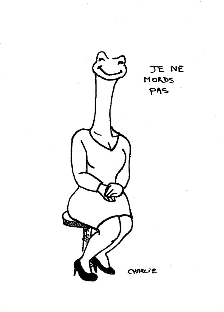 Élire une femme, quelle blague !