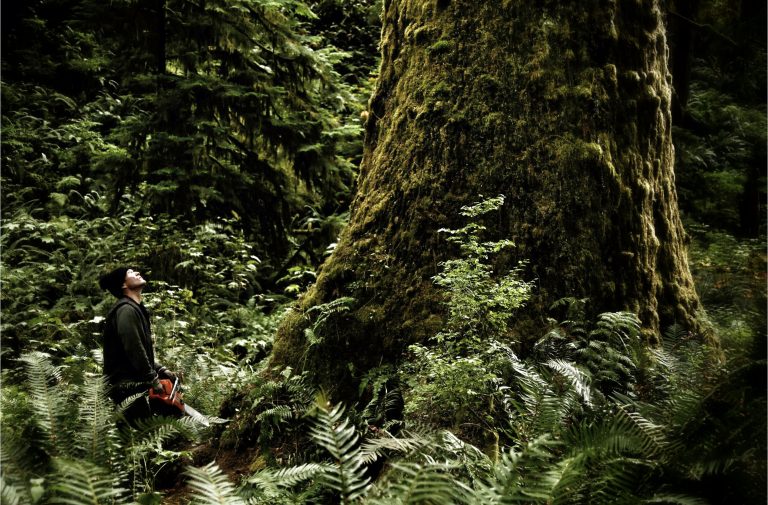 L’homme et la forêt