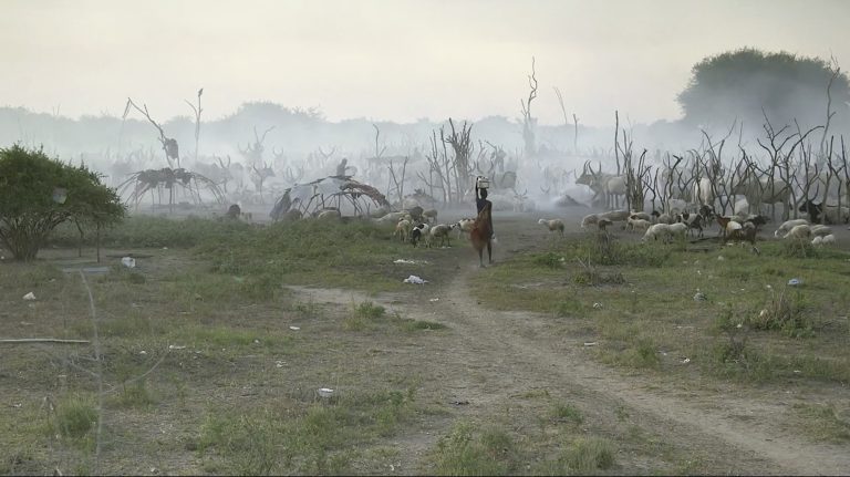 Les avocats de la paix