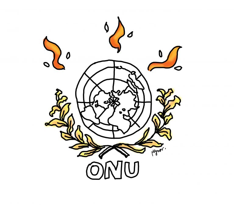 L’ONU et la planète