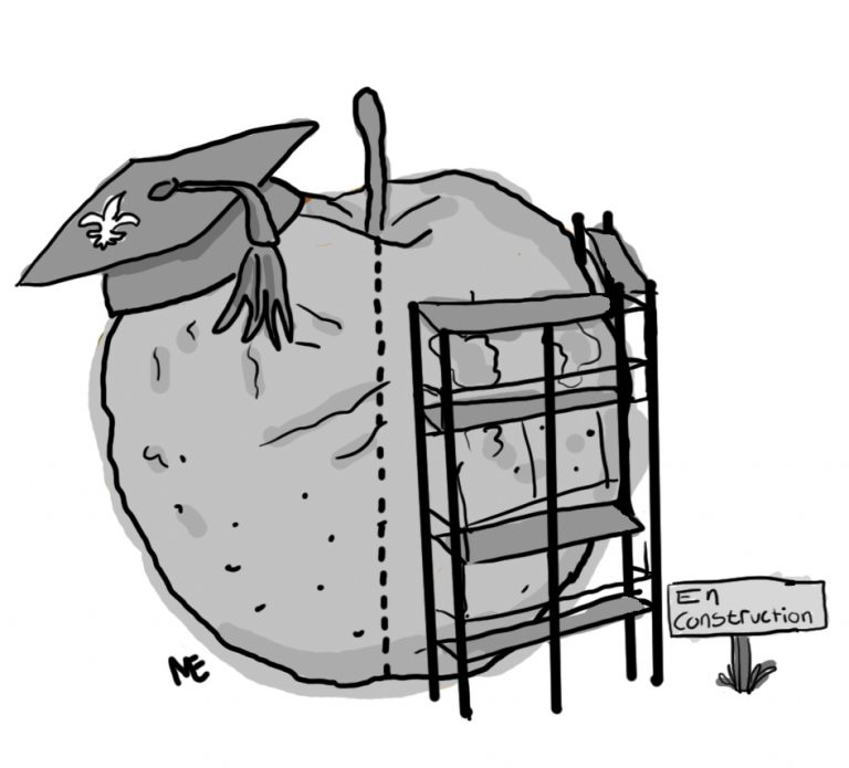 Leitão, le défi de l’éducation