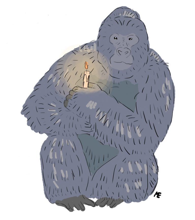 Harambe, mon ami, mon frère