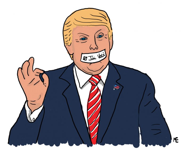 Les jeunes comme facteur électoral