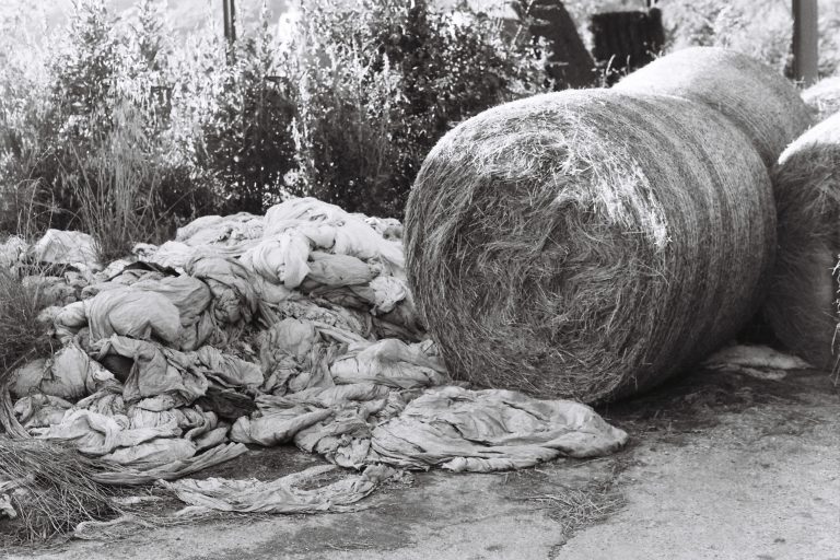 Unsettling Obsession