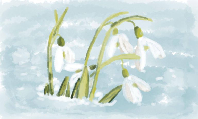 Cette amie que l’on n’a pu sauver