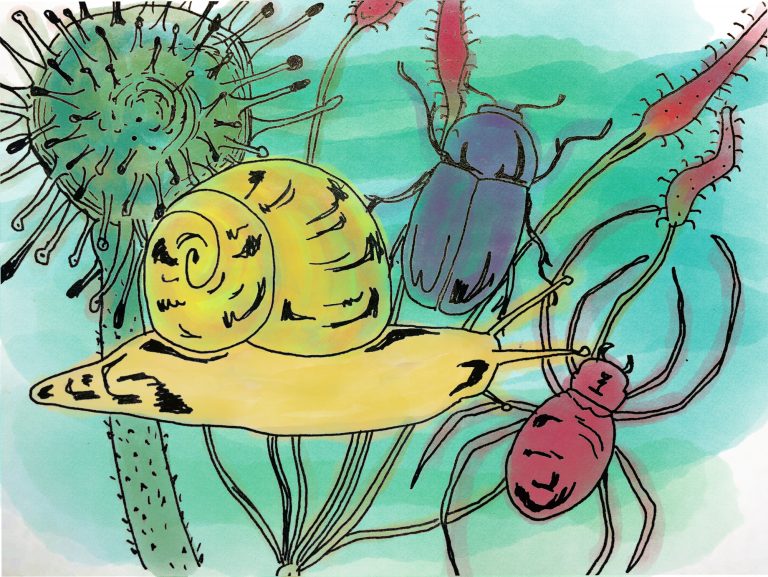 Cosmologie des tout-petits