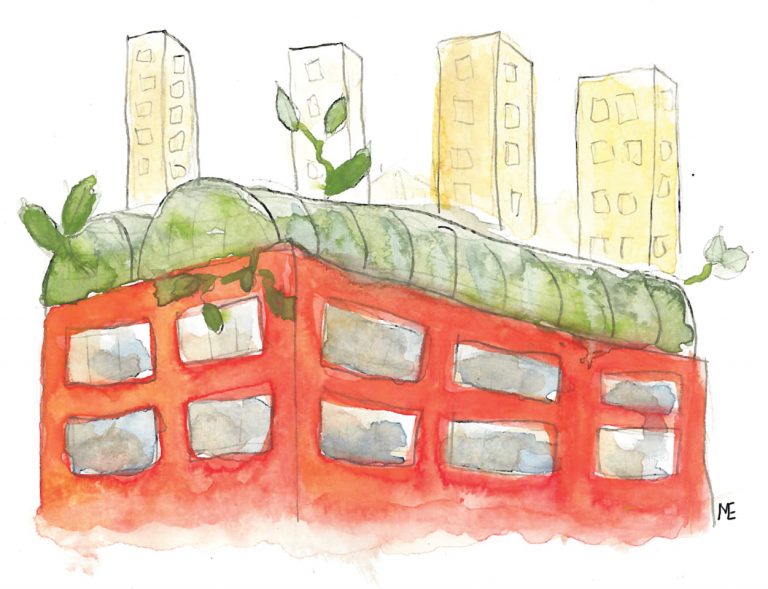 L’agriculture urbaine : une révolution ?