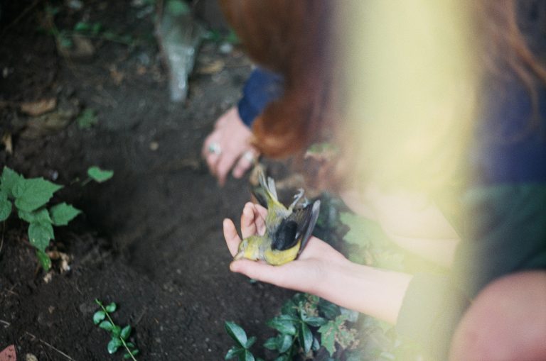 Un jeune oiseau et sa belle amie