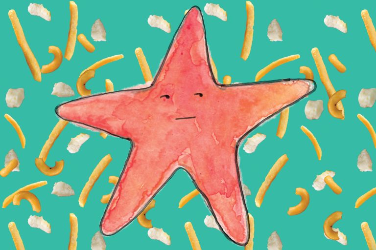 Chroniques d’une étoile de mer