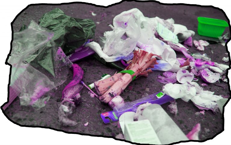 Les rebelles des poubelles