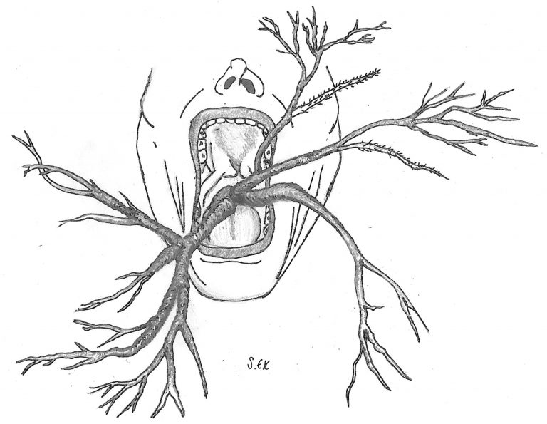 Contre l’essentialisation de la langue française.