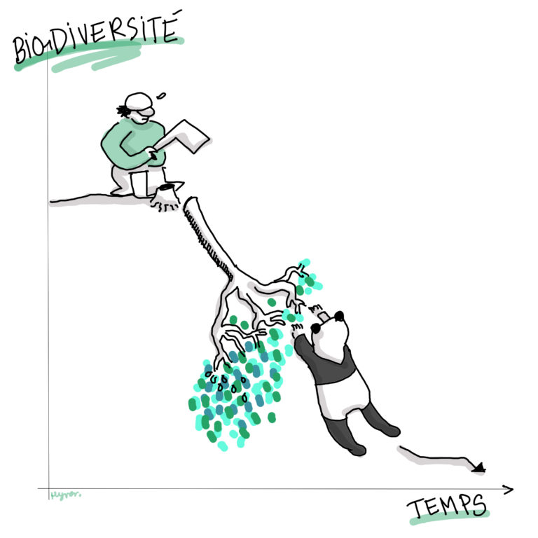 La biodiversité en péril