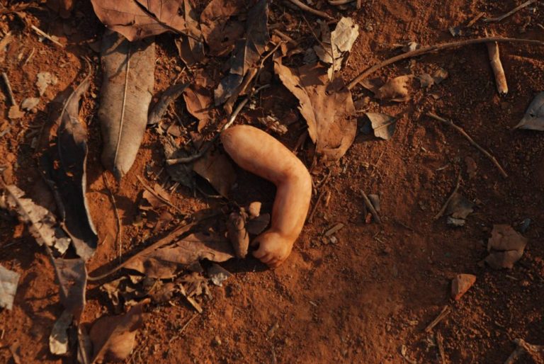 Gagnants du concours photos de la Francofête 2018