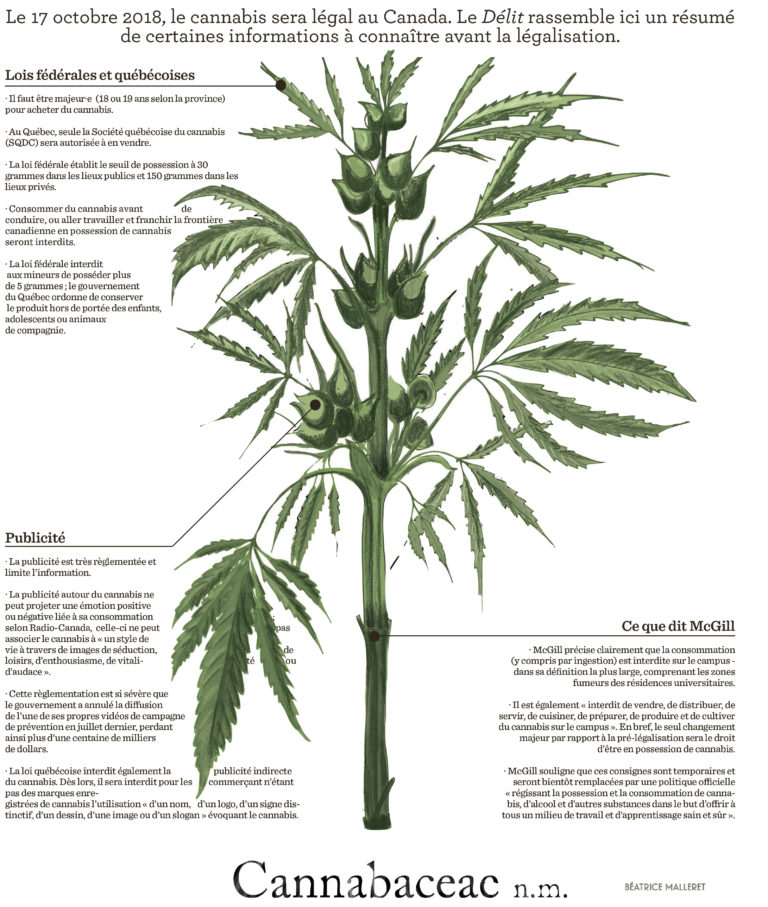 Légalisation du pot : quoi savoir ?