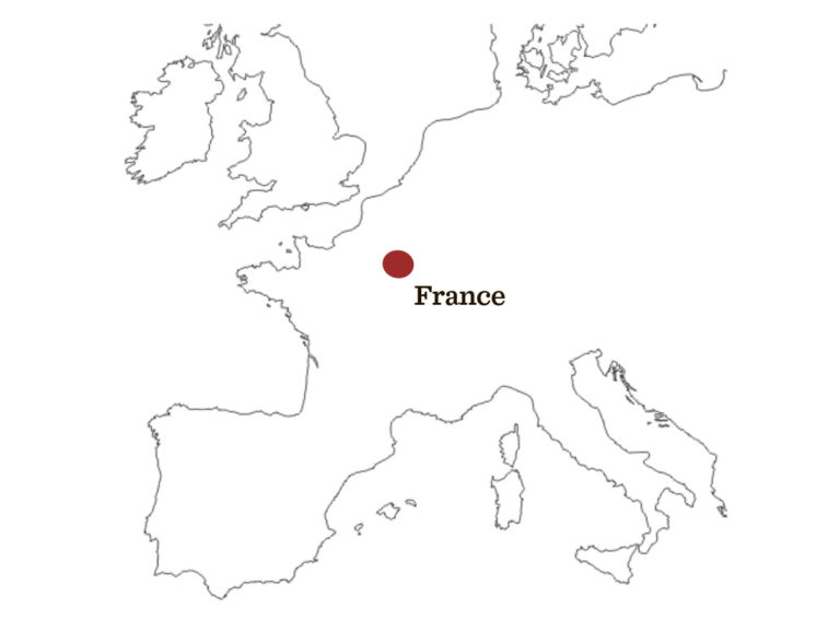Gilets jaunes en France : qu’en est-il ?