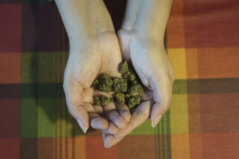 Consultations sur le cannabis