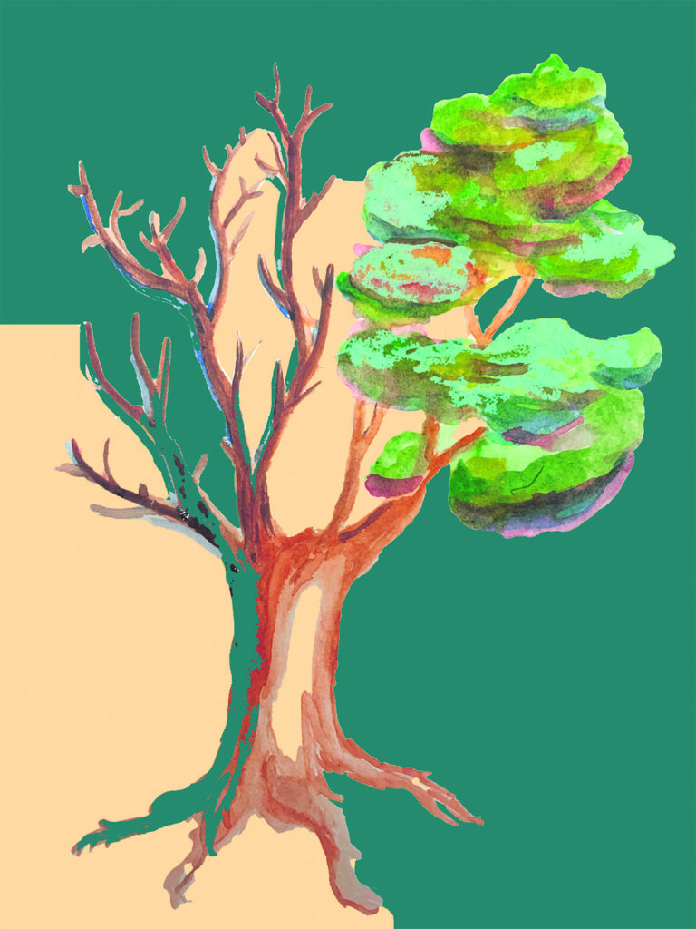 Nature en déchéance