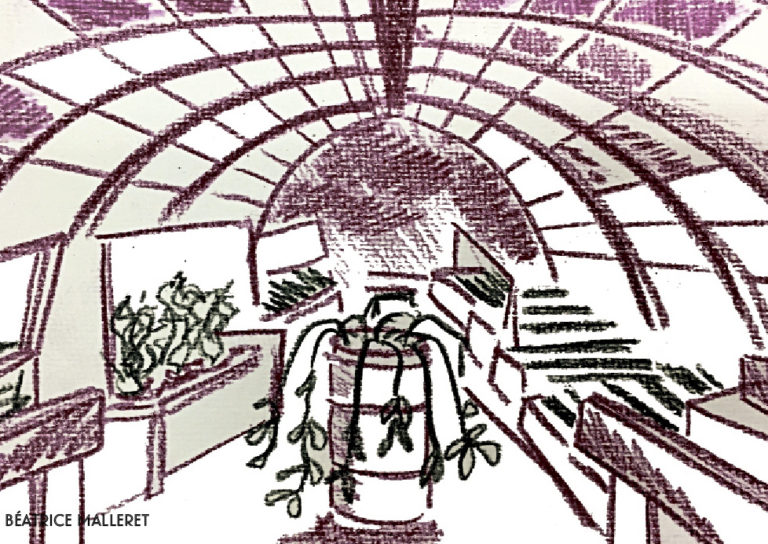 Planter, animer, rassembler