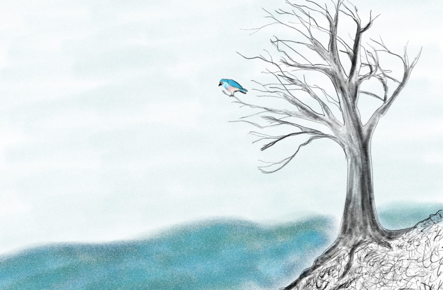 Les oiseaux de la rivière Aras (dernière partie)