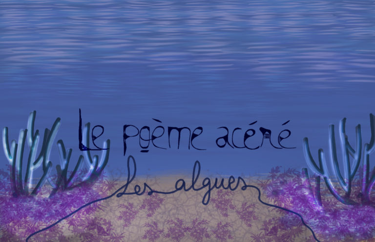 Les algues