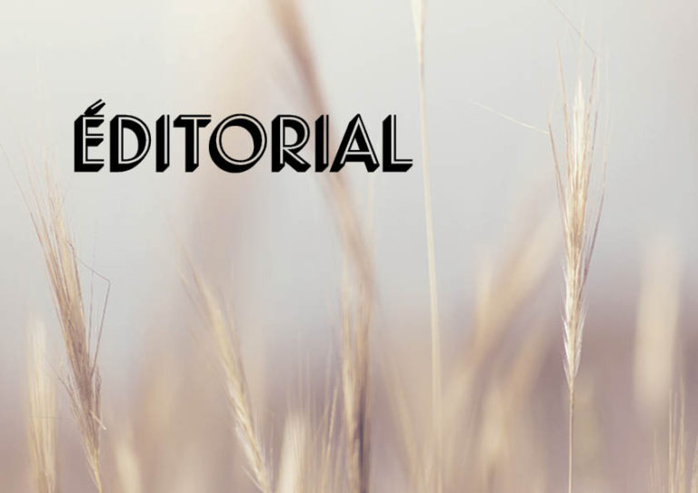 L’avortement à l’agenda politique