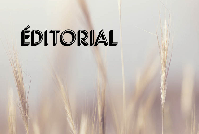 L’avortement à l’agenda politique