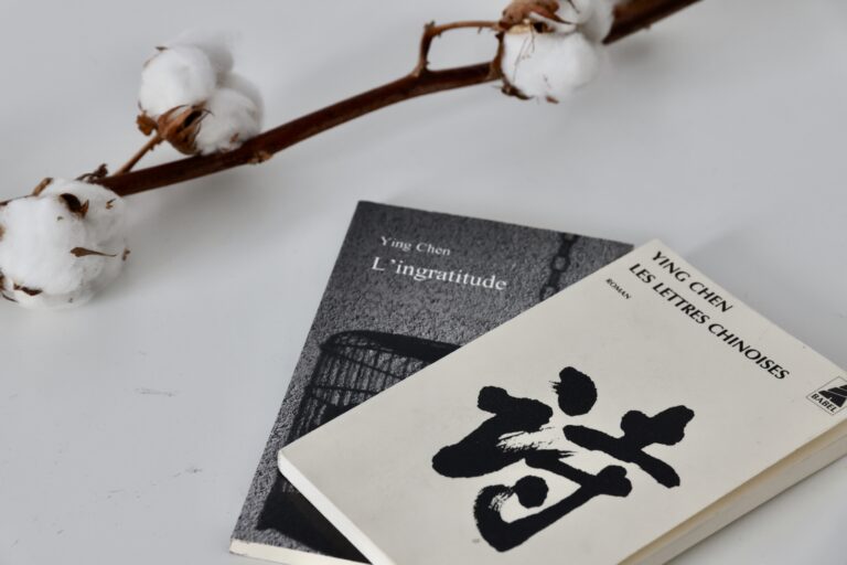 « Malgré les différences, le langage est commun »
