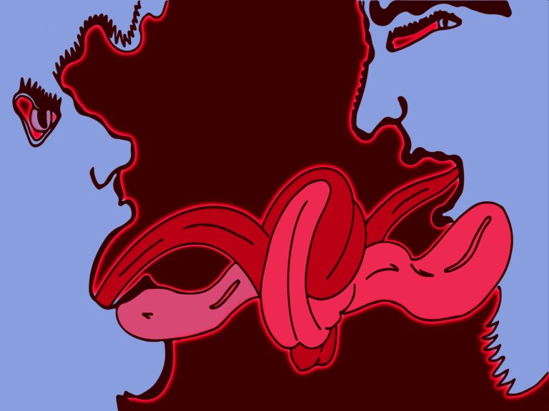 À la rencontre de l’autre