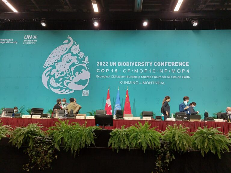 COP15 : Bon COP, Bad COP ?
