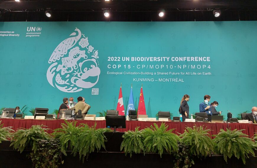 COP15 : Bon COP, Bad COP ?
