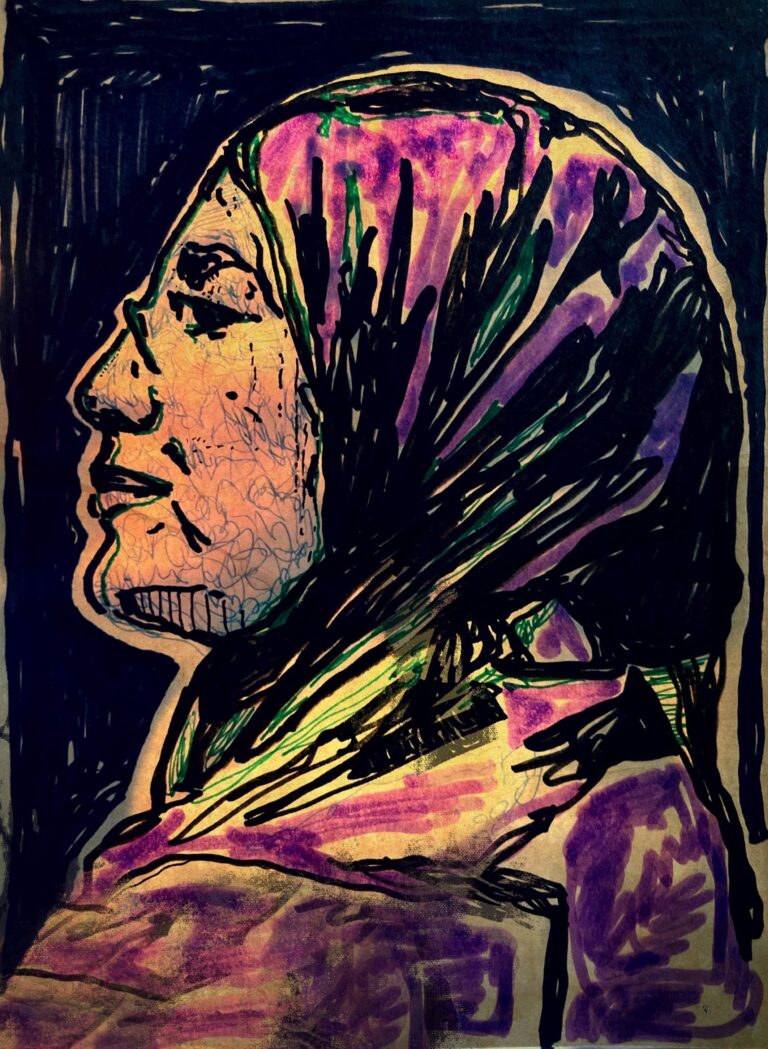 La nomination d’Amira Elghawaby : un sujet qui fâche
