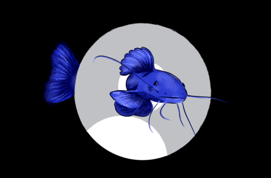 Quand la pêche tourne mal