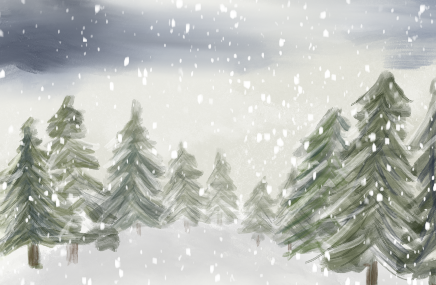 Lignes de fuite : Hiver à Montréal