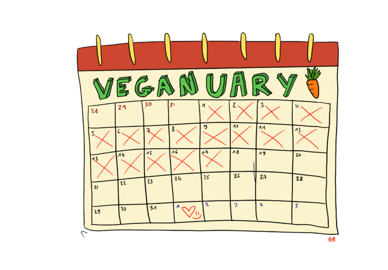 31 jours dans la peau d’un·e végane