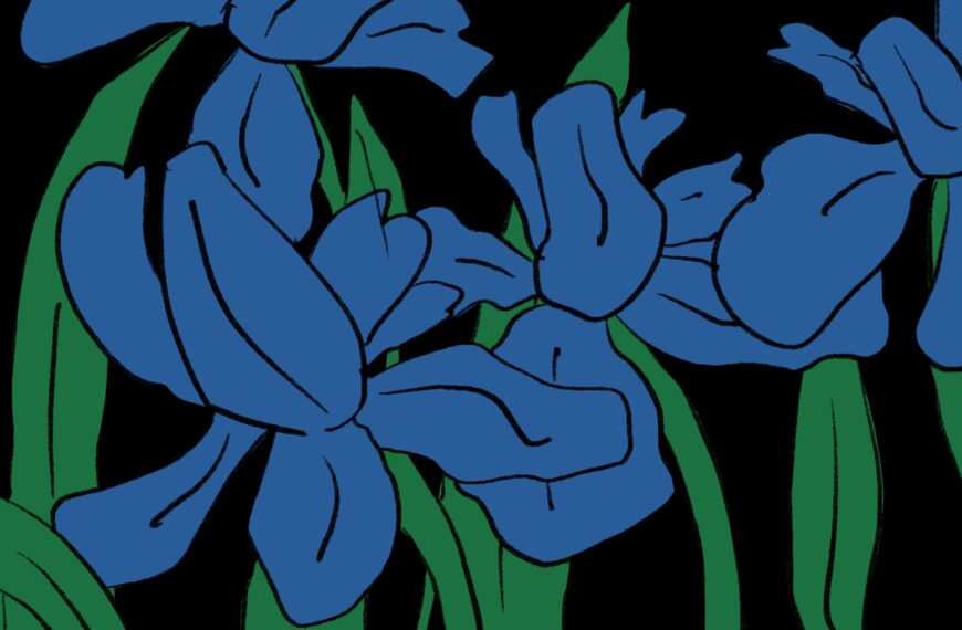 Un indépendantisme solidaire