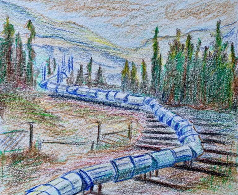 Trudeau : un manque d’action pour l’environnement ?