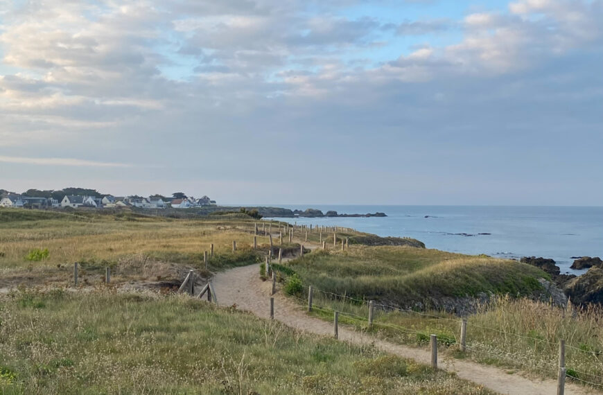 L’Été où je suis devenue accro à une série