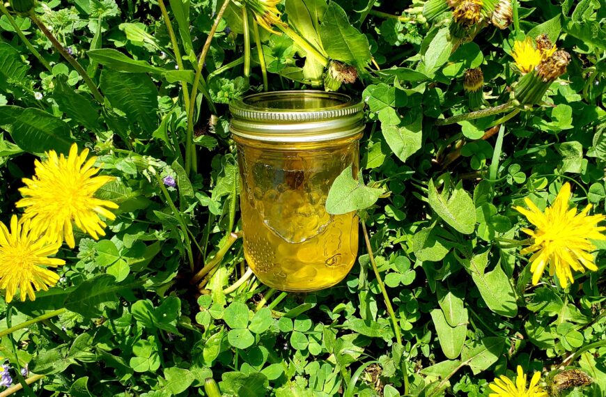 Hymne à la bouffe d’ici