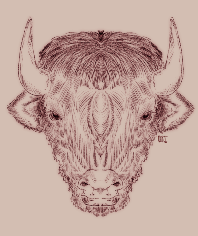Du bison, ça se mange ?