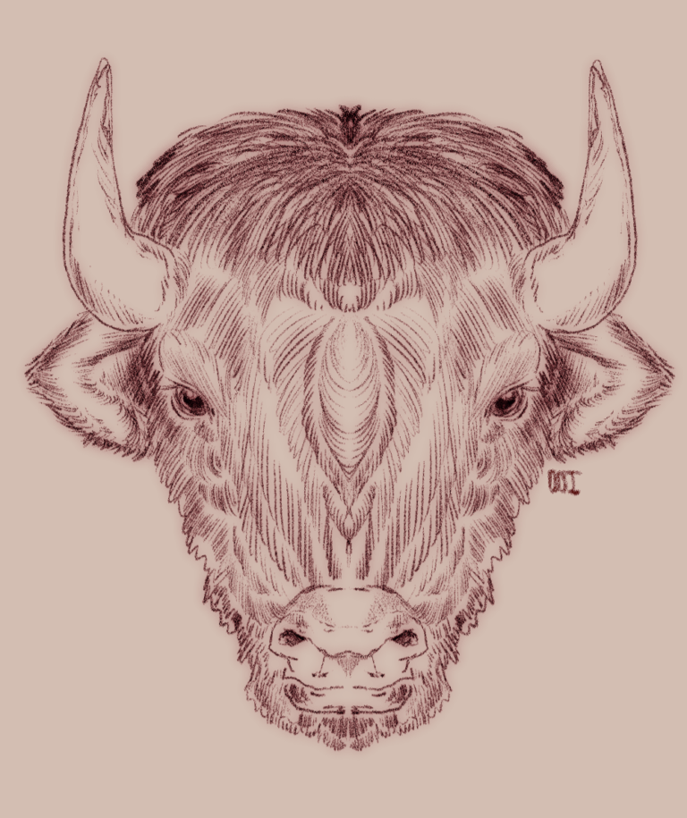 Du bison, ça se mange ?