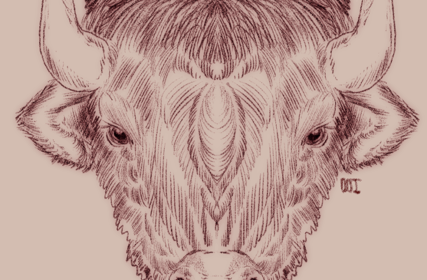 Du bison, ça se mange ?