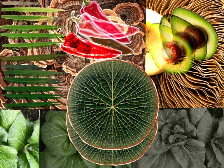 « Je ne vole plus à la nature »