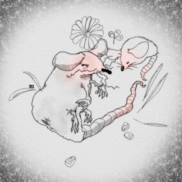 Le passage de l’insouciance à l’impuissance